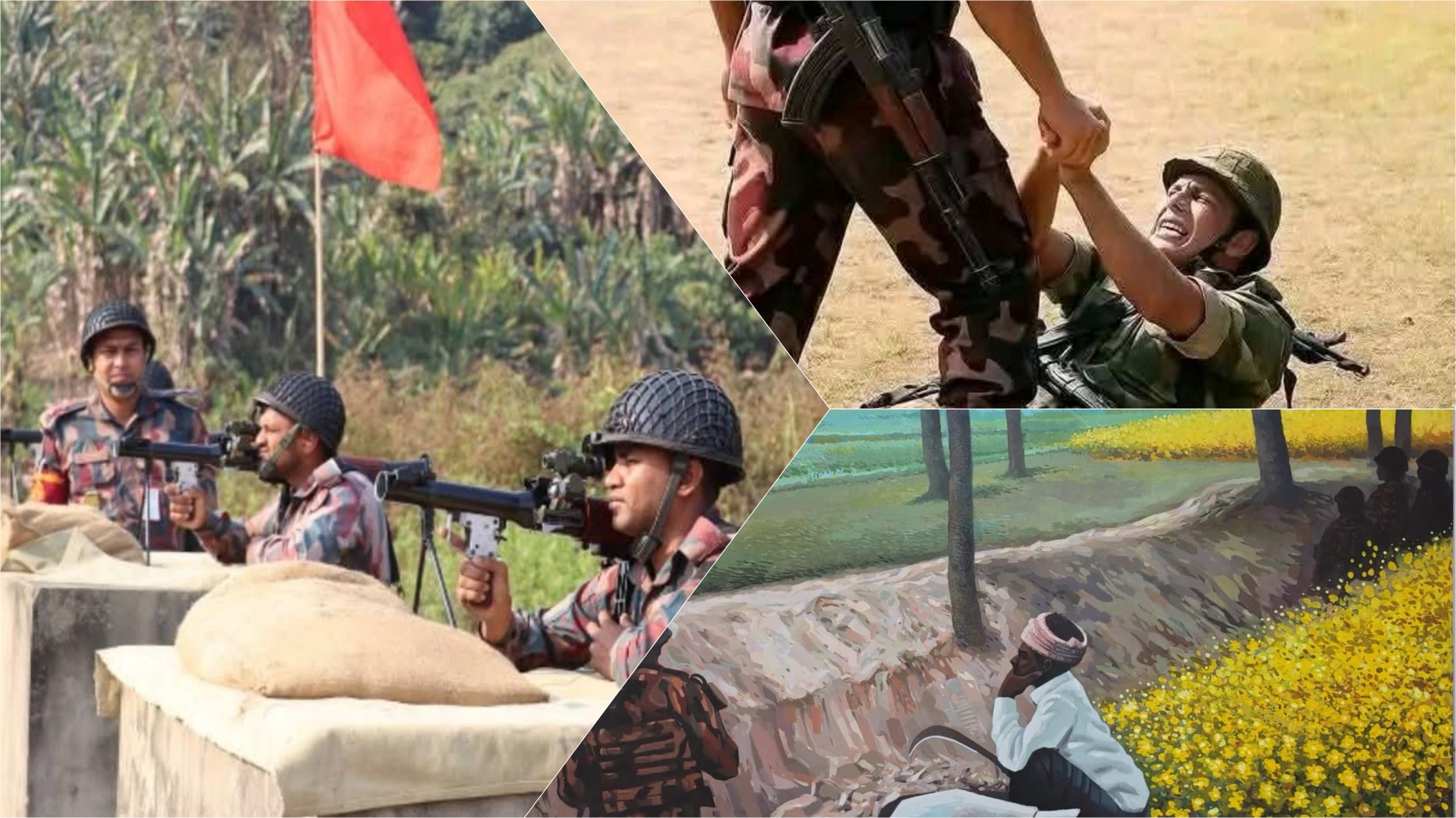 কার স্বার্থে বিজিবিকে একতরফাভাবে দোষারোপ? 
