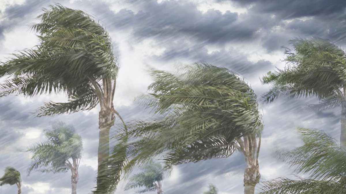 ঢাকাসহ যেসব অঞ্চলে দুপুরের মধ্যে ৬০ কিমি বেগে ঝড়ের শঙ্কা