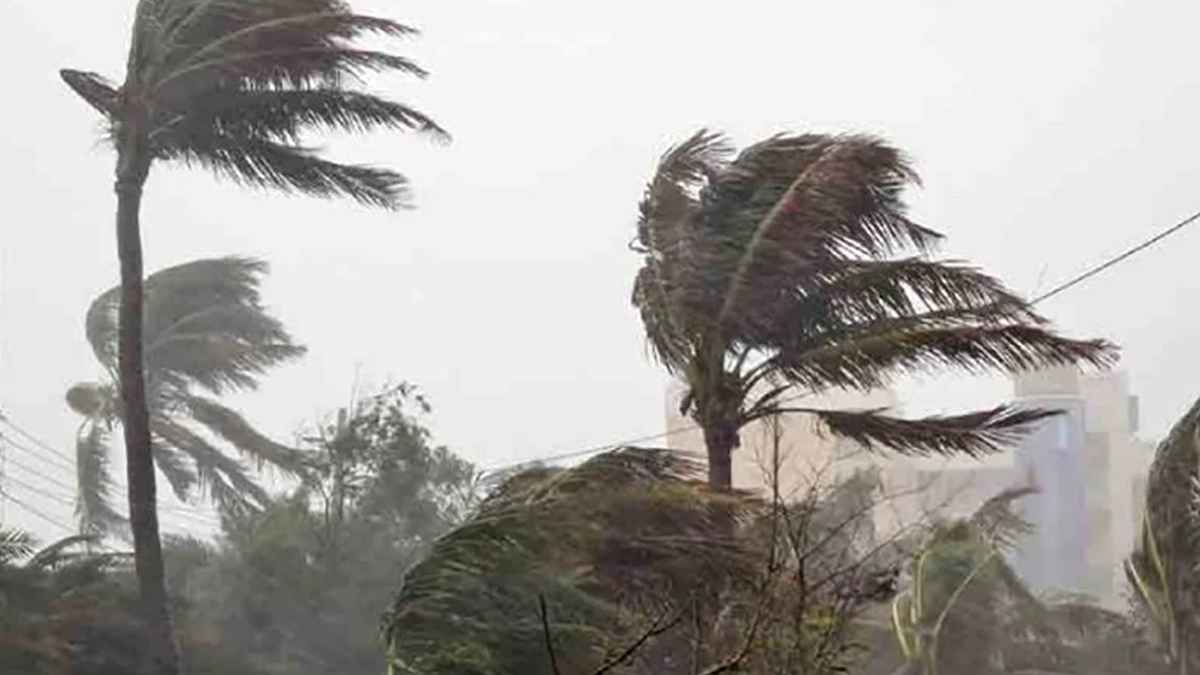 ঢাকাসহ ১৩ জেলায় দুপুরের মধ্যে বজ্রবৃষ্টির আভাস